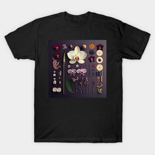 Orchid Flower - Knolling Style T-Shirt